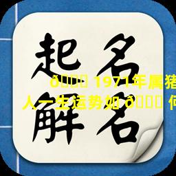 🐟 1971年属猪人一生运势如 🐞 何